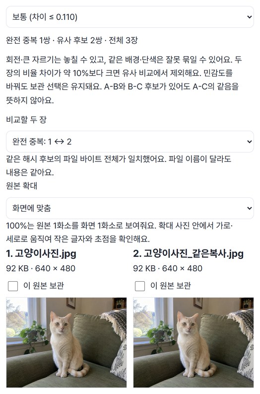 완전 중복 1쌍, 유사 후보 2쌍으로 나뉜 결과와 같은 고양이 사진 두 장을 나란히 비교하는 화면