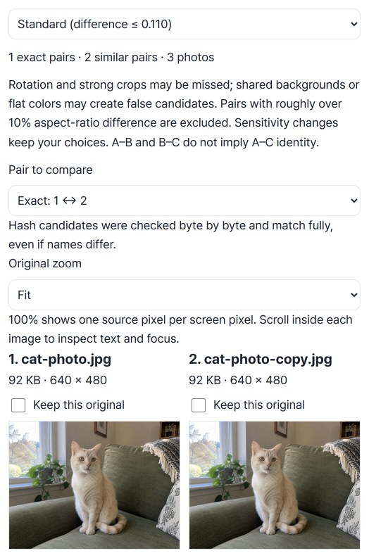 Results grouped as 1 exact pair and 2 similar pairs, with two identical cat photos compared side by side