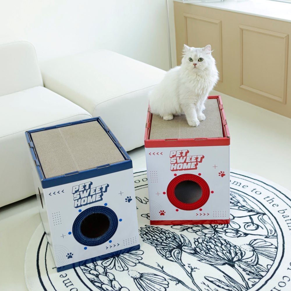 숨숨집 구멍으로 얼굴을 내민 고양이