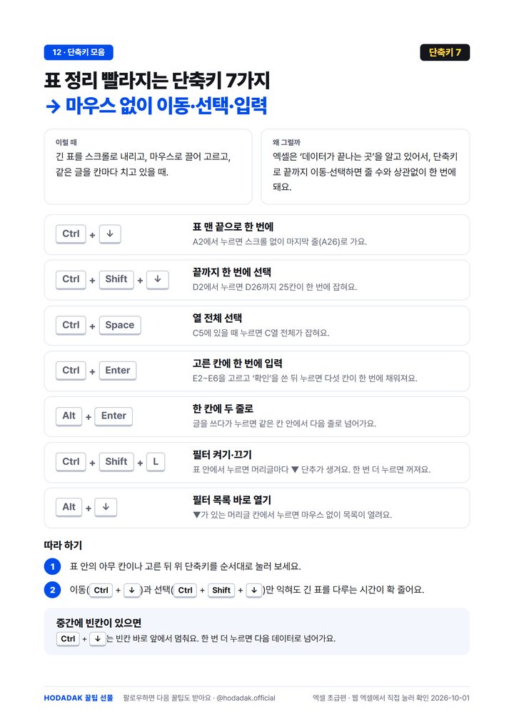 표 정리 빨라지는 엑셀 단축키 7가지 한 장 정리 미리보기